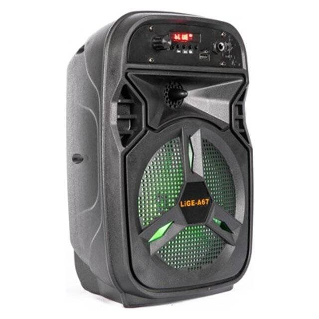 Ailiang LiGE-A67 Speaker 6.5"Ailiang LiGE-A67 Speaker 6.5"