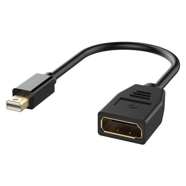 Mini DisplayPort AdapterMini DisplayPort Adapter
